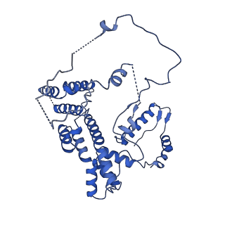 12559_7ns3_8_v2-0
Substrate receptor scaffolding module of yeast Chelator-GID SR4 E3 ubiquitin ligase bound to Fbp1 substrate