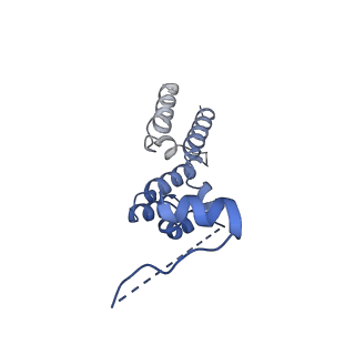 12559_7ns3_9_v2-0
Substrate receptor scaffolding module of yeast Chelator-GID SR4 E3 ubiquitin ligase bound to Fbp1 substrate