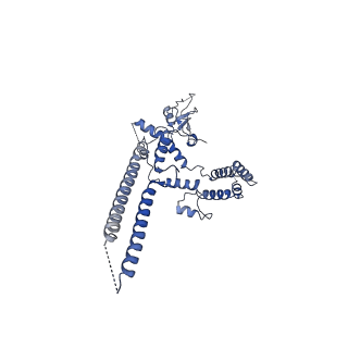 12560_7ns4_b_v1-3
Catalytic module of yeast Chelator-GID SR4 E3 ubiquitin ligase