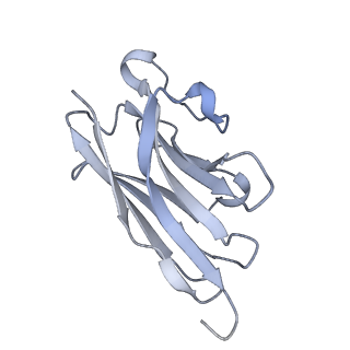 12561_7ns6_G_v1-0
SARS-CoV-2 Spike (dimers) in complex with six Fu2 nanobodies