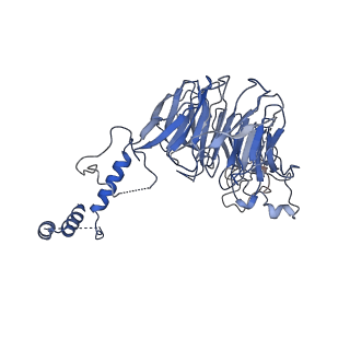 12563_7nsb_g_v1-4
Supramolecular assembly module of yeast Chelator-GID SR4 E3 ubiquitin ligase