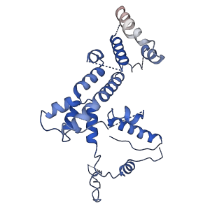 12563_7nsb_h_v1-4
Supramolecular assembly module of yeast Chelator-GID SR4 E3 ubiquitin ligase