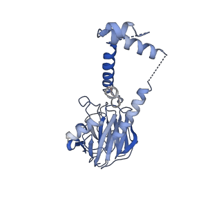 12564_7nsc_A_v1-4
Substrate receptor scaffolding module of human CTLH E3 ubiquitin ligase