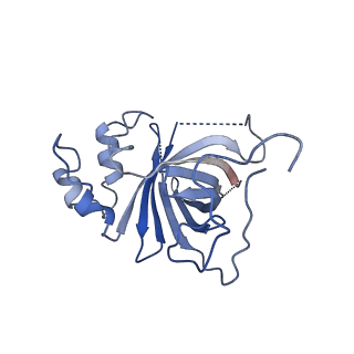 12564_7nsc_D_v1-4
Substrate receptor scaffolding module of human CTLH E3 ubiquitin ligase