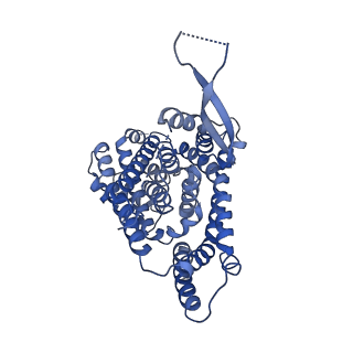 12566_7nsg_C_v1-0
Structure of human excitatory amino acid transporter 3 (EAAT3) in complex with HIP-B