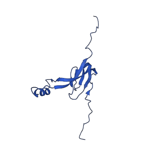 12567_7nsh_B0_v1-1
39S mammalian mitochondrial large ribosomal subunit with mtRRF (post) and mtEFG2