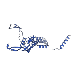 12567_7nsh_B1_v1-1
39S mammalian mitochondrial large ribosomal subunit with mtRRF (post) and mtEFG2