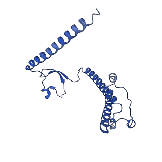 12567_7nsh_B2_v1-1
39S mammalian mitochondrial large ribosomal subunit with mtRRF (post) and mtEFG2