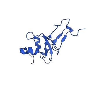 12567_7nsh_B3_v1-1
39S mammalian mitochondrial large ribosomal subunit with mtRRF (post) and mtEFG2