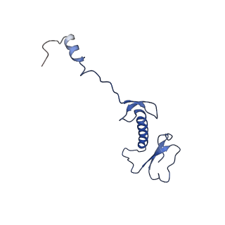 12567_7nsh_B5_v1-1
39S mammalian mitochondrial large ribosomal subunit with mtRRF (post) and mtEFG2