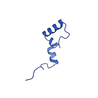 12567_7nsh_B7_v1-1
39S mammalian mitochondrial large ribosomal subunit with mtRRF (post) and mtEFG2