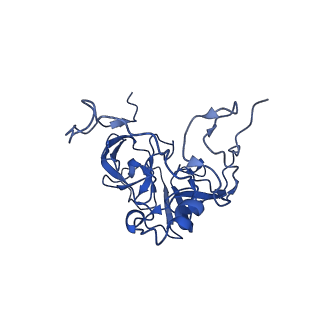12567_7nsh_BD_v1-1
39S mammalian mitochondrial large ribosomal subunit with mtRRF (post) and mtEFG2