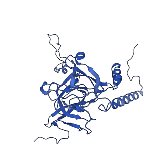 12567_7nsh_BE_v1-1
39S mammalian mitochondrial large ribosomal subunit with mtRRF (post) and mtEFG2