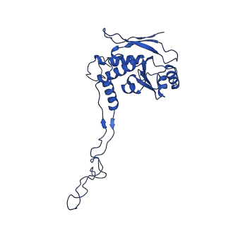 12567_7nsh_BF_v1-1
39S mammalian mitochondrial large ribosomal subunit with mtRRF (post) and mtEFG2