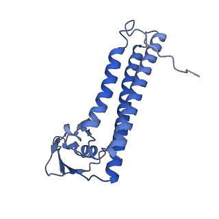 12567_7nsh_BG_v1-1
39S mammalian mitochondrial large ribosomal subunit with mtRRF (post) and mtEFG2