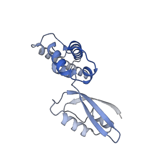 12567_7nsh_BK_v1-1
39S mammalian mitochondrial large ribosomal subunit with mtRRF (post) and mtEFG2