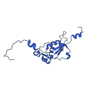 12567_7nsh_BN_v1-1
39S mammalian mitochondrial large ribosomal subunit with mtRRF (post) and mtEFG2
