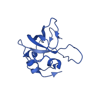 12567_7nsh_BO_v1-1
39S mammalian mitochondrial large ribosomal subunit with mtRRF (post) and mtEFG2