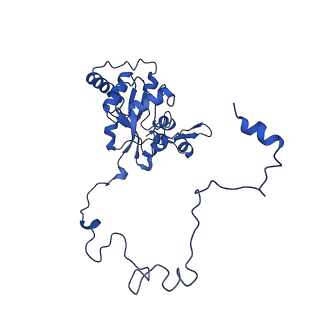 12567_7nsh_BP_v1-1
39S mammalian mitochondrial large ribosomal subunit with mtRRF (post) and mtEFG2