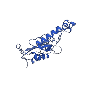 12567_7nsh_BQ_v1-1
39S mammalian mitochondrial large ribosomal subunit with mtRRF (post) and mtEFG2