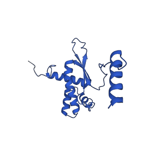 12567_7nsh_BR_v1-1
39S mammalian mitochondrial large ribosomal subunit with mtRRF (post) and mtEFG2