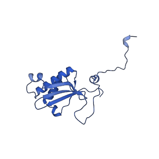 12567_7nsh_BS_v1-1
39S mammalian mitochondrial large ribosomal subunit with mtRRF (post) and mtEFG2