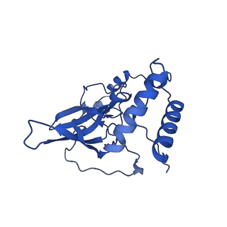 12567_7nsh_BT_v1-1
39S mammalian mitochondrial large ribosomal subunit with mtRRF (post) and mtEFG2
