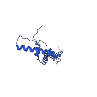 12567_7nsh_BU_v1-1
39S mammalian mitochondrial large ribosomal subunit with mtRRF (post) and mtEFG2