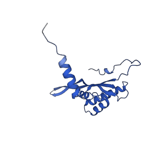 12567_7nsh_BW_v1-1
39S mammalian mitochondrial large ribosomal subunit with mtRRF (post) and mtEFG2