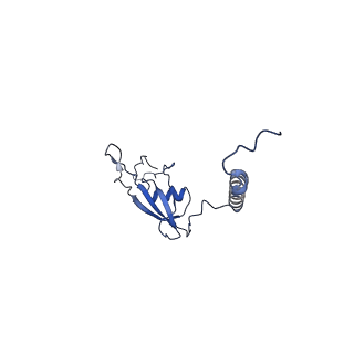 12567_7nsh_BX_v1-1
39S mammalian mitochondrial large ribosomal subunit with mtRRF (post) and mtEFG2