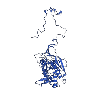 12567_7nsh_Ba_v1-1
39S mammalian mitochondrial large ribosomal subunit with mtRRF (post) and mtEFG2