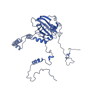 12567_7nsh_Bb_v1-1
39S mammalian mitochondrial large ribosomal subunit with mtRRF (post) and mtEFG2