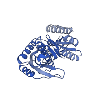 12567_7nsh_Bc_v1-1
39S mammalian mitochondrial large ribosomal subunit with mtRRF (post) and mtEFG2