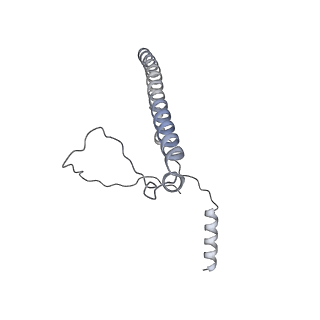 12567_7nsh_Bd_v1-1
39S mammalian mitochondrial large ribosomal subunit with mtRRF (post) and mtEFG2
