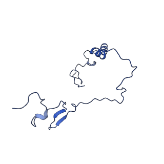 12567_7nsh_Be_v1-1
39S mammalian mitochondrial large ribosomal subunit with mtRRF (post) and mtEFG2