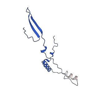 12567_7nsh_Bf_v1-1
39S mammalian mitochondrial large ribosomal subunit with mtRRF (post) and mtEFG2