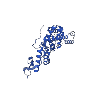 12567_7nsh_Bh_v1-1
39S mammalian mitochondrial large ribosomal subunit with mtRRF (post) and mtEFG2