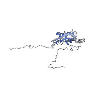 12567_7nsh_Bi_v1-1
39S mammalian mitochondrial large ribosomal subunit with mtRRF (post) and mtEFG2