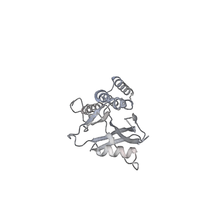 12567_7nsh_Bj_v1-1
39S mammalian mitochondrial large ribosomal subunit with mtRRF (post) and mtEFG2