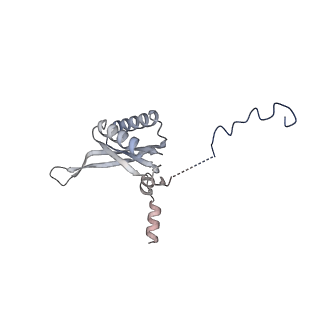 12567_7nsh_Bk_v1-1
39S mammalian mitochondrial large ribosomal subunit with mtRRF (post) and mtEFG2