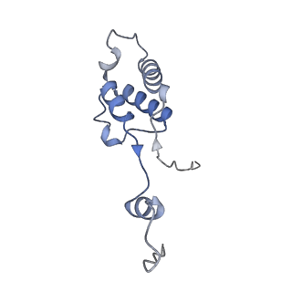 12567_7nsh_Bm_v1-1
39S mammalian mitochondrial large ribosomal subunit with mtRRF (post) and mtEFG2