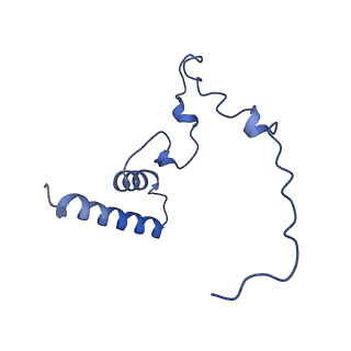 12567_7nsh_Bn_v1-1
39S mammalian mitochondrial large ribosomal subunit with mtRRF (post) and mtEFG2
