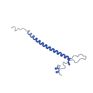 12567_7nsh_Bo_v1-1
39S mammalian mitochondrial large ribosomal subunit with mtRRF (post) and mtEFG2