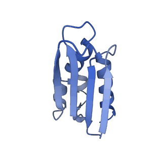 12567_7nsh_Bp_v1-1
39S mammalian mitochondrial large ribosomal subunit with mtRRF (post) and mtEFG2