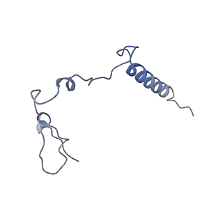 12567_7nsh_Bq_v1-1
39S mammalian mitochondrial large ribosomal subunit with mtRRF (post) and mtEFG2