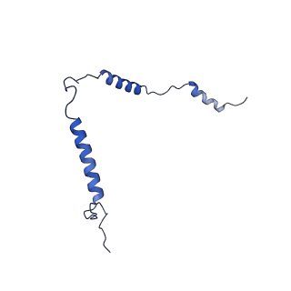12567_7nsh_Bt_v1-1
39S mammalian mitochondrial large ribosomal subunit with mtRRF (post) and mtEFG2