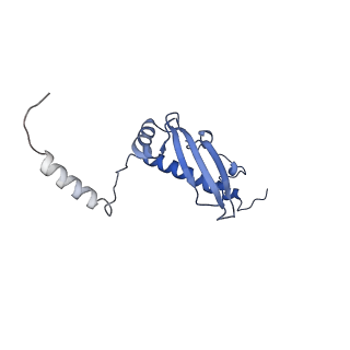 12567_7nsh_Bu_v1-1
39S mammalian mitochondrial large ribosomal subunit with mtRRF (post) and mtEFG2