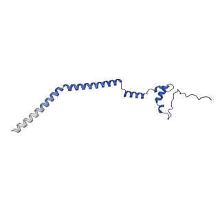 12567_7nsh_Bv_v1-1
39S mammalian mitochondrial large ribosomal subunit with mtRRF (post) and mtEFG2