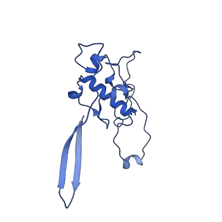 12567_7nsh_Bx_v1-1
39S mammalian mitochondrial large ribosomal subunit with mtRRF (post) and mtEFG2