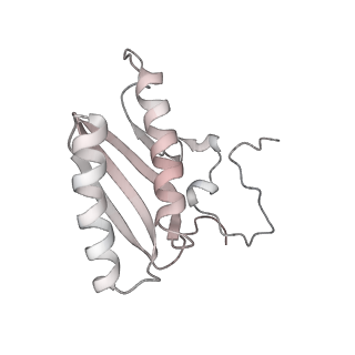 12568_7nsi_AC_v1-1
55S mammalian mitochondrial ribosome with mtRRF (pre) and tRNA(P/E)